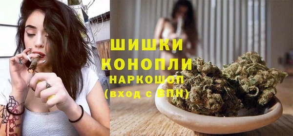 apvp Краснослободск